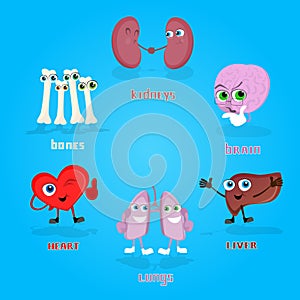 Vital Anatomical Organs Cartoon Characters Set Collection