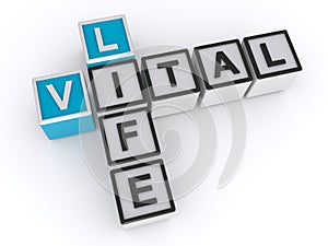 Vital life word block on white