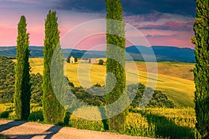 Vitaleta chapel on the hill and grain fields, Tuscany, Italy