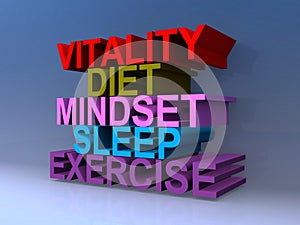 Vitality diet mindset slepp exercise