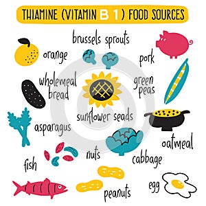 Vitamin B 1 food sources, thiamine. Vector cartoon illustration.