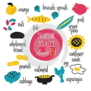 Vitamin B 1 food sources, thiamine. Vector cartoon illustration. Health eating concept.