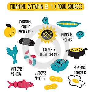 Vitamin B 1 food sources, thiamine. Vector cartoon illustration and information about health benefits of vitamin B 1.
