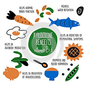 Vitamin B 6 food sources,pyridoxine. Vector cartoon illustration and information about health benefits of vitamin B 6.