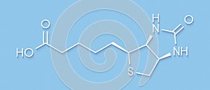 Vitamin B7 biotin molecule. Skeletal formula.
