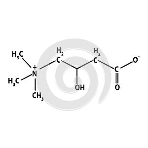 Vitamin B11. L-carnitine Molecular chemical formula. Infographics. Vector illustration on isolated background.