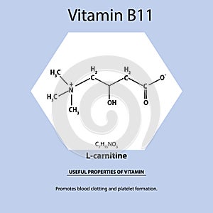 Vitamin B11. L-carnitine Molecular chemical formula. Useful properties of vitamin. Infographics. Vector illustration on