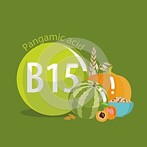 Vitamin B15 Pangamic acid. Natural organic foods with high vitamin conte