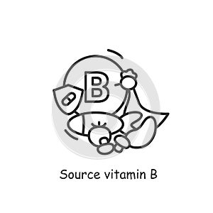 Vitamin B source icon. Thin line vitamin sign, dieting products for healthy immune system and metabolism