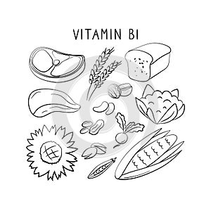Vitamin B1 Thiamin . Groups of healthy products containing vitamins. Set of fruits, vegetables, meats, fish and dairy