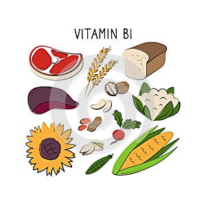Vitamin B1 Thiamin . Groups of healthy products containing vitamins. Set of fruits, vegetables, meats, fish and dairy
