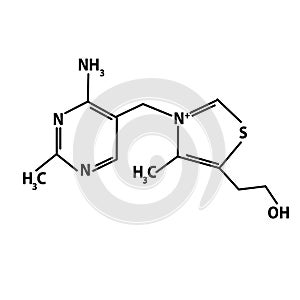 Vitamin B1. Thiamine Molecular chemical formula. Infographics. Vector illustration on isolated background.