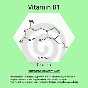 Vitamin B1. Thiamine Molecular chemical formula. Useful properties of vitamin. Infographics. Vector illustration on