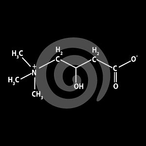 Vitamin B11. L-carnitine Molecular chemical formula. Infographics. Vector illustration on black background.