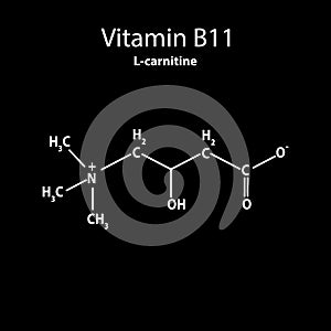 Vitamin B11. L-carnitine Molecular chemical formula. Infographics. Vector illustration on black background.