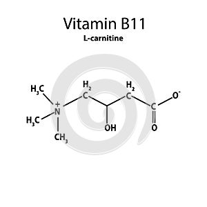 Vitamin B11. L-carnitine Molecular chemical formula. Infographics. Vector illustration on isolated background.