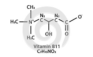 Vitamin B11 L-carnitine molecular structure. Vitamin B11 L-carnitine skeletal chemical formula. Chemical molecular