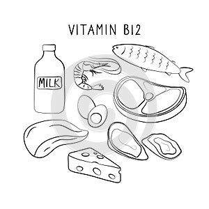 Vitamin B12 cyanocobalamin, cobalamin. Groups of healthy products containing vitamins. Set of fruits, vegetables, meats