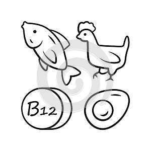 Vitamin B12 linear icon. Fish, poultry and egg. Healthy eating. Cobalamin food source. Minerals, antioxidants. Thin line