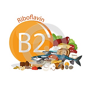 Vitamin B2 (riboflavin). Natural organic foods with high vitamin content