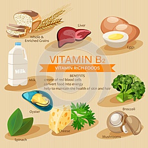 Vitamin B2. Vitamins and minerals foods. Vector flat icons graphic design. Banner header illustration.