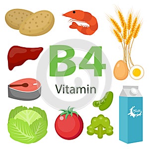 Vitamin B4 nutrition infographic with medical and food icons diet, healthy food and wellbeing concept