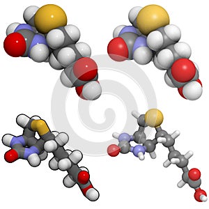 Vitamin B7 (biotin) molecule