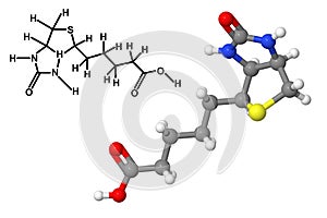 Vitamin B7 molecule with chemical formula