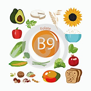 Vitamin B9 folate. A set of organic organic foods with a high content of vitamin