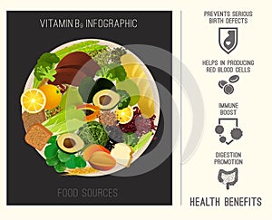 Vitamin B9 in Food