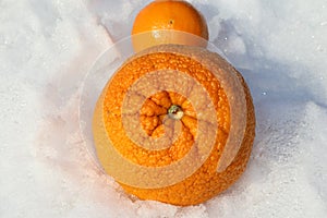 Vitamin C- Oranges and cold and flu season story photo