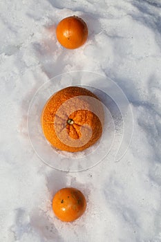 Vitamin C- Winter and Oranges- cold and flu season story photo