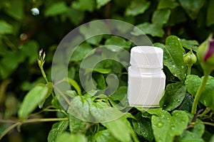 Vitamin Capsules on nature background . herbal medicine , concept of health care