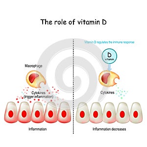 Vitamin D, immune system and COVID-19