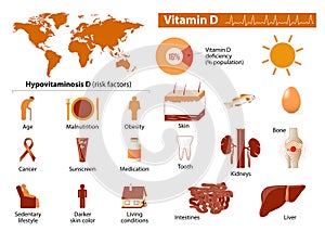 Vitamin D infographic photo