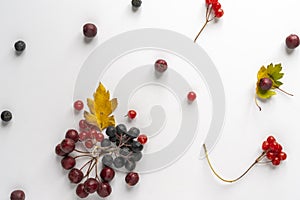 vitamin dietconcept, flat lay of the various cherry dropped on the table