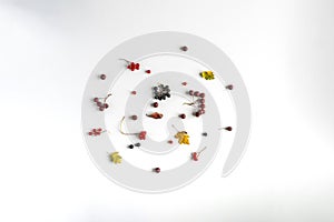 vitamin dietconcept, flat lay of the various cherry dropped on the table