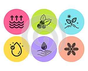 Vitamin e, Water care and Evaporation icons set. Grow plant, Christmas holly and Snowflake signs. Vector