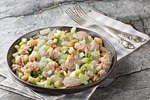 Vitamin Salad of canned tuna, butter beans, fresh celery, green onions and capers close-up in a plate. Horizontal