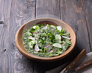 Vitamin salad of wild herbs with cucumber, radish and green onions