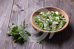 Vitamin salad of wild herbs with cucumber, radish and green onions