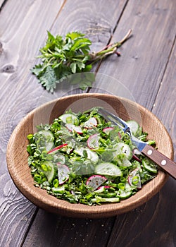 Vitamin salad of wild herbs with cucumber, radish and green onions