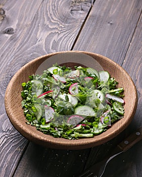 Vitamin salad of wild herbs with cucumber, radish and green onions