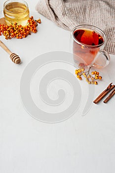 Vitamin tea with berries, honey, Rowan and sea buckthorn berries, cinnamon sticks and dry cloves on a light background with a