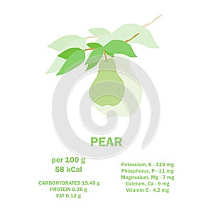 Vitamins, minerals and calorie content. Information about nutrition facts pear fruit. Conceptual healthy nutrition card