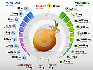 Vitamíny a minerály z spoločný cibuľa 