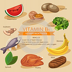 Vitamins and Minerals foods Illustration. Vector set of vitamin rich foods. Vitamin B6. Bananas, spinach, meat, nuts, poultry photo