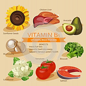 Vitamins and Minerals foods Illustration. Vector set of vitamin rich foods. Vitamin B5. Broccoli, chicken liver, avocado, sunflowe