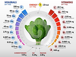 Vitamins and minerals of spinach leaves photo
