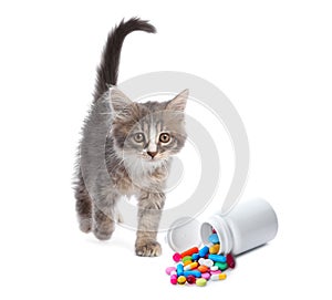 Vitamins for pets. Cute kitten and bottle with different pills on white background